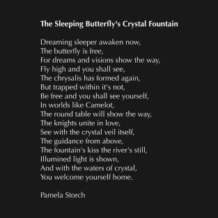 The Sleeping Butterfly's Crystal Fountain Poem T-Shirt