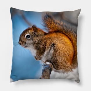 Red Squirrel Pillow