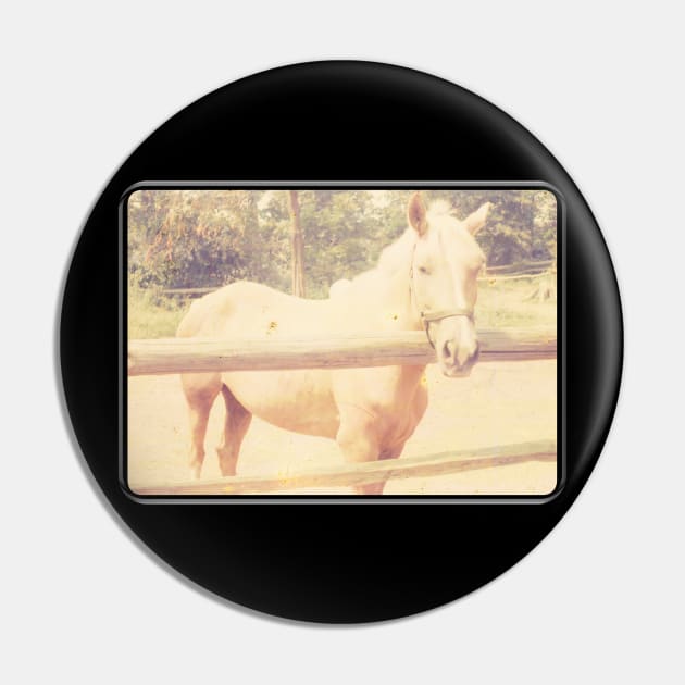 Retro Palomino Horse at Fence Pin by The Golden Palomino