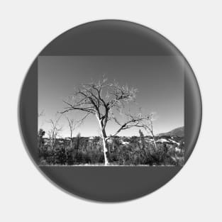 Black and white Dead Tree Pin