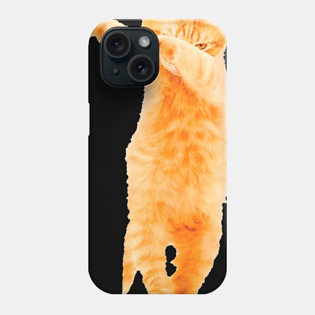 Dabbing Cat Kitten Funny Dab Dance Kitty Funny Gift Phone Case by Zak N mccarville