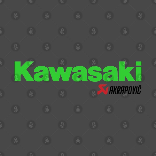 Kawasaki Akrapovic by tushalb