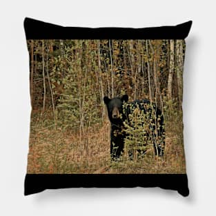 Momma Bear Pillow