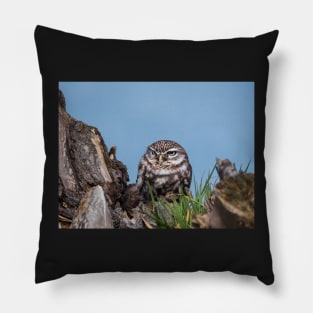 Little owl perched on at tree trunk Pillow