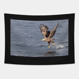 White-tailed eagle's successful fishing Tapestry