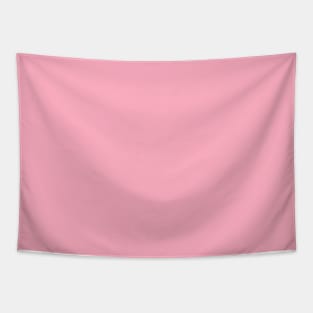 Palm Beach Pink Florida Colors of the Sunshine State Tapestry