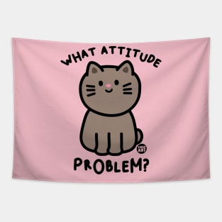 WHAT ATTITUDE PROBLEM Tapestry