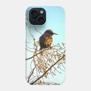 Wren on a Winter Branch Phone Case