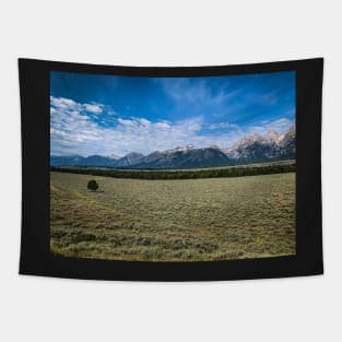 The Grand Tetons Tapestry