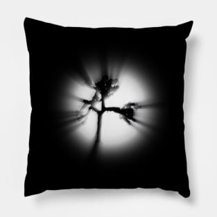 The Joshua Tree Shadow Pillow