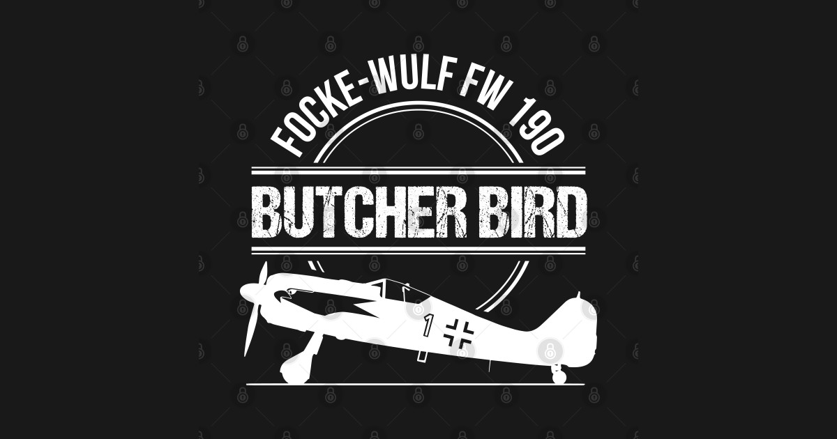 Focke Wulf Fw 190 Butcherbird Warbird German Luftwaffe Focke Wulf Fw