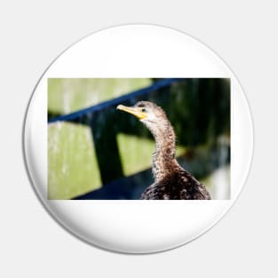 Juvenile Cormorant Profile Pin