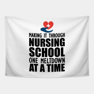 Nursing School - Making it through nursing school one meltdown at a time Tapestry