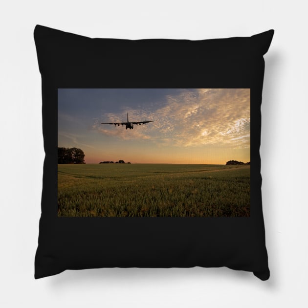 Hercy Bird Pillow by aviationart