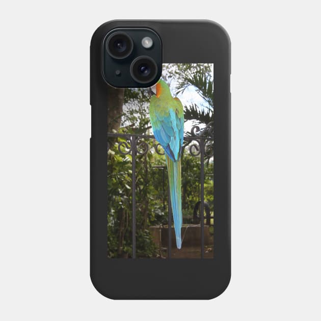 Harlequin Macaw Phone Case by Carole-Anne