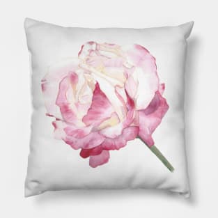 Rose Double Delight Pillow