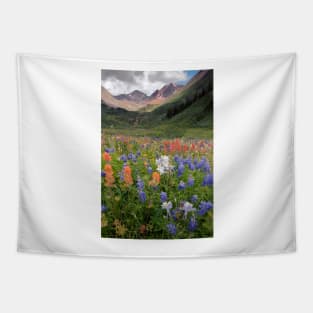 Alpine flowers in Rustler's Gulch, USA (C006/6000) Tapestry