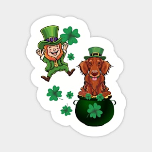 St Patricks Day Leprechaun & Irish Setter Lucky Shamrocks Magnet