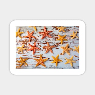 Starfish On Weathered Board Magnet