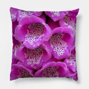 Common Foxglove (Digitalis purpurea) Pillow