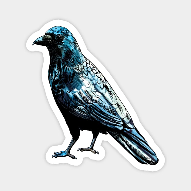 raven Magnet by VicaVeresk