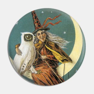 Witch with an owl Pin