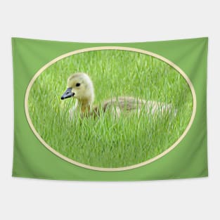 One Gosling No.q Tapestry