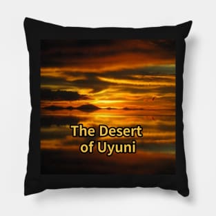 The Desert of Uyuni,a trip to Bolivia,travel,water reflection,Where the sky and the earth meet Pillow