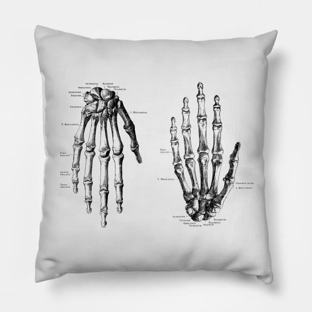 Double Hand Skeletal Diagram - Vintage Anatomy Pillow by Vintage Anatomy Prints