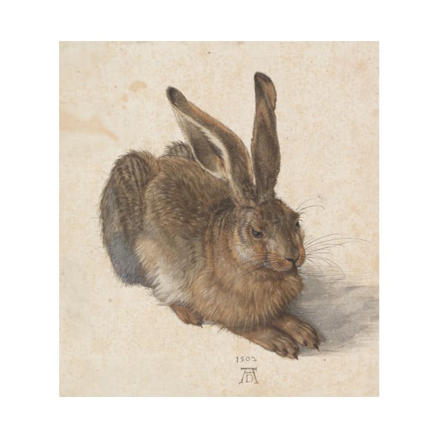 Young Hare  by Albrecht Dürer by Amanda1775