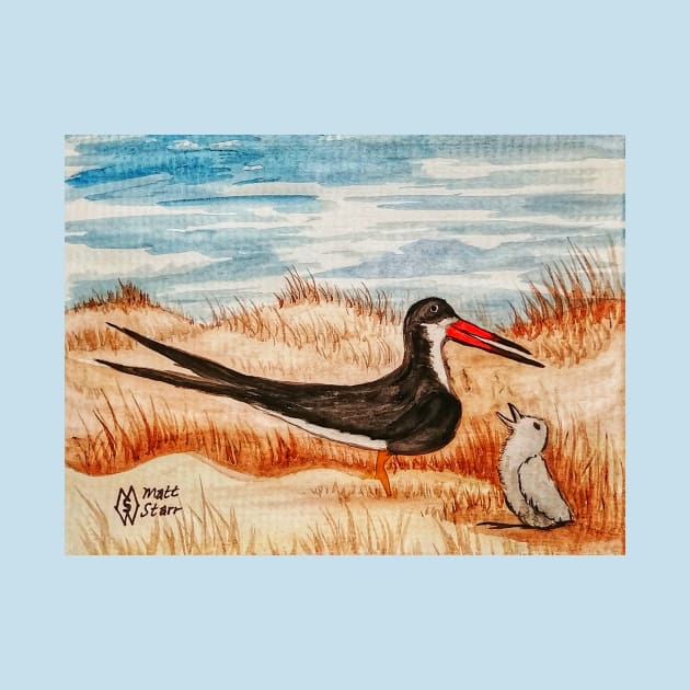 Black Skimmer and Chick by Matt Starr Fine Art