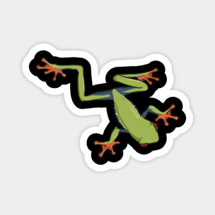 Red-eyed Tree Frog Magnet