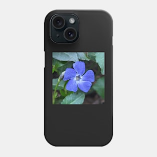 blue flower in leaves 3 Phone Case