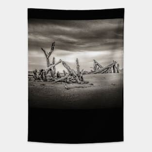 ASIAN DRIFTWOOD II Tapestry