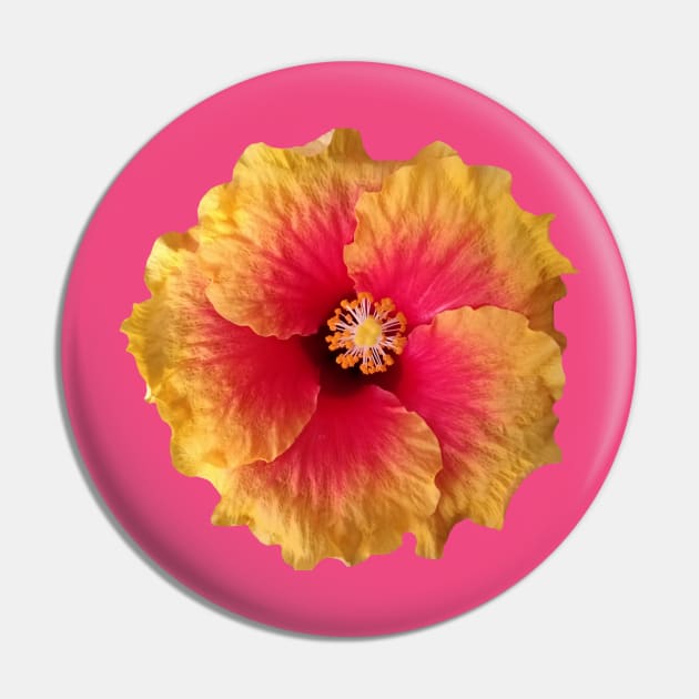 yellow red flower, hibiscus, flowers, blossom, Pin by rh_naturestyles