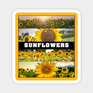 Sunflower Set Magnet