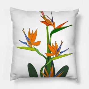 flowers Strelitzia tropical south africa flower Pillow