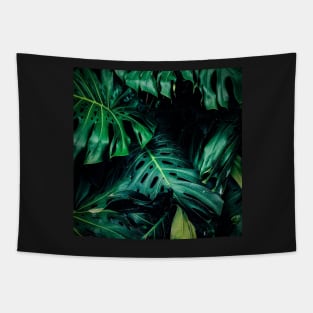 Big monstera leaves in a botanical garden Tapestry