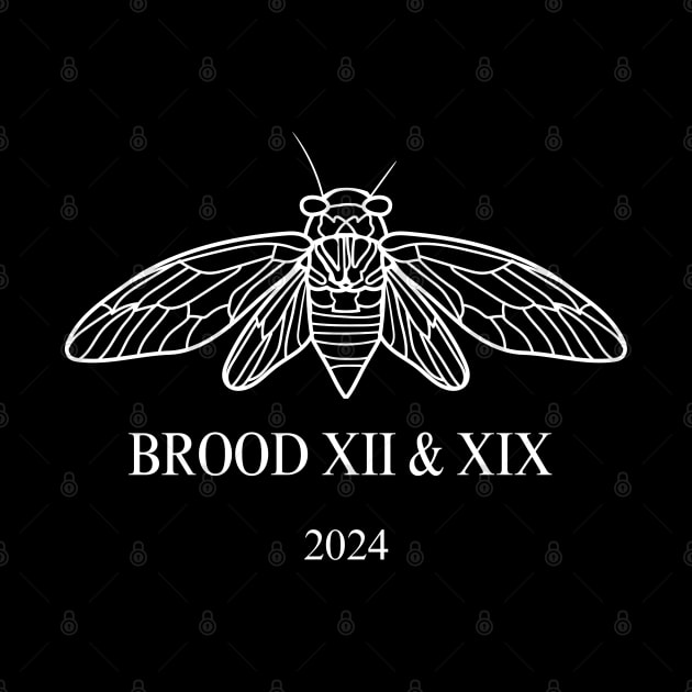 Cicada Brood XIII Brood XIX 2024 by Dylante