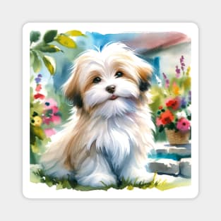 Watercolor Havanese Puppies Painting - Cute Puppy Magnet
