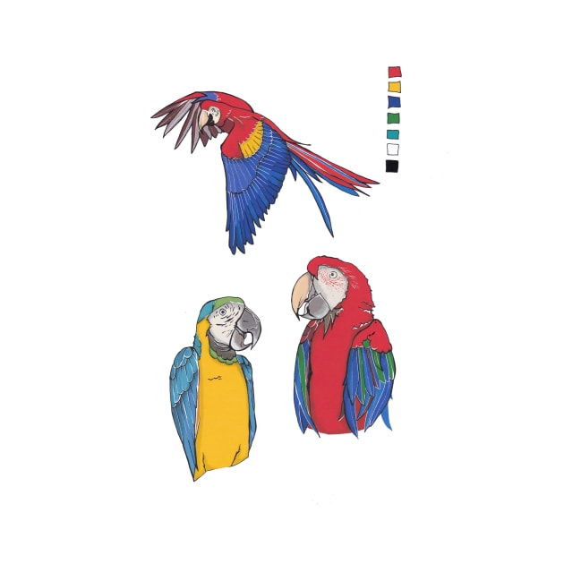 Parrots by IndiasIllustrations