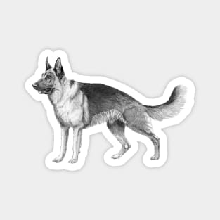 German shepherd ink Magnet