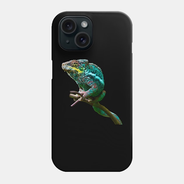 chameleon Zurich Phone Case by RaphaelWolf