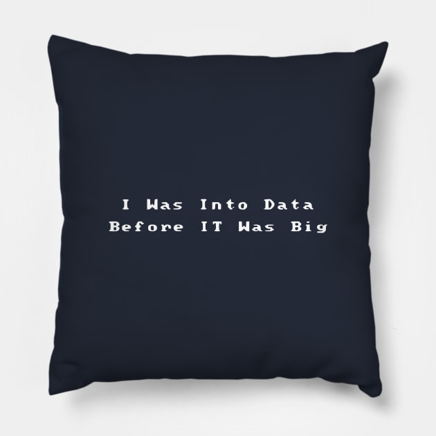 I Was Into Data Before It Was Big Pillow by Humorable