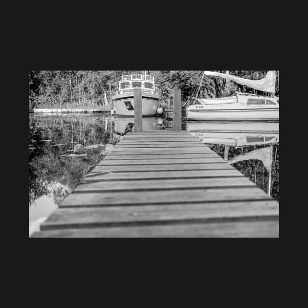 Wooden staithe on the River Ant, Norfolk by yackers1