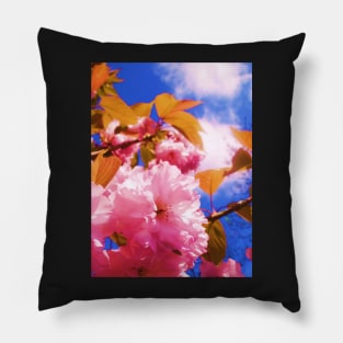 Summer Blossom - Summer 2010 Pillow