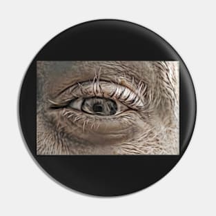 Squinting Furry Eye of Lunacy Pin