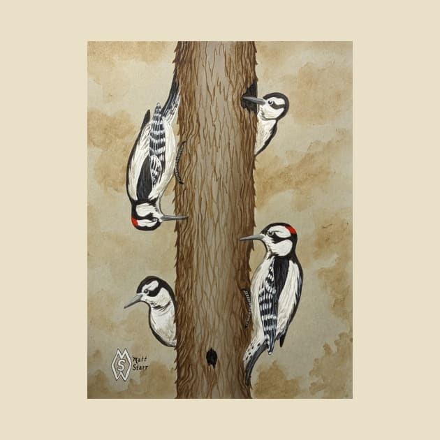 Downy woodpeckers in the forest by Matt Starr Fine Art