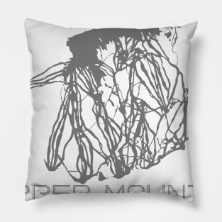 Copper Mountain Resort 3D Pillow