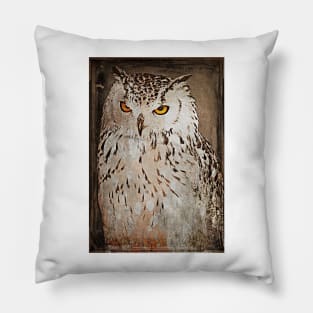 Vintage Style Owl Pillow